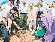 Dhruv Guleria and his mother, Ms Poonam Guleria, son and wife, respectively, of Capt Deepak Guleria, a Kargil martyr, water a sapling at a tree plantation drive in Sector 12, Panchkula, on Sunday. 