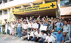 Students of COVS raise slogans while on a dharna in front of their college at PAU in Ludhiana on Monday. 