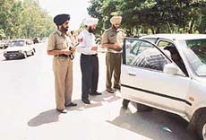 The Chandigarh traffic police launched a special drive with personnel drawn from various police stations to check traffic violation, on Friday.