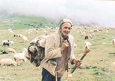 A shepherd of this nomadic tribe 