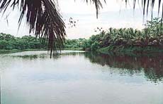 The Science City is located in lush green environs