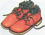 Put crumpled paper in wet shoes