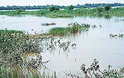 Wet-dredging is the need of the hour at the Sukhna Lake, but red-tapism has held up the project despite a sanction of Rs 4 crore.
