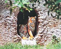 Upset over the living conditions in zoological parks throughout the country
