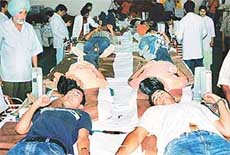 Students of DAV College, Sector 10, Chandigarh, at the blood donation camp.