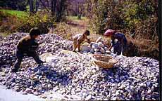 Youngsters crushing stones 