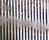 photo11