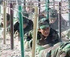 Recruits of Saudi-born militant Osama bin Laden