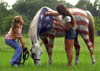 19photo02