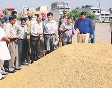 Mr G. Vajralingam, Director, Food and Supplies, Punjab, accompanied by Mr Parveen Vij, DFSC, visited the Ludhiana mandi to oversee the procurement operations on Friday.