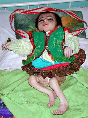 22photo29