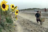 22photo26