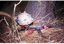 An army soldier peeps through the bushes in panzgam woods near line of control in north kashmir. 