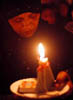 28photo11