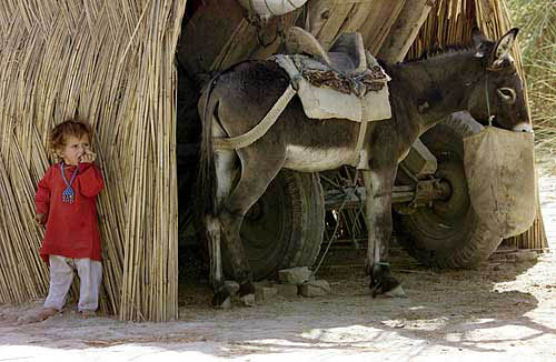 29photo10