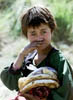 29photo05