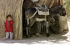 29photo10