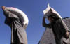 29photo23