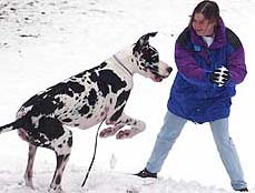 Kersten Johnson of Auburn, Alabama, plays with her Great Dane, Hennessy, during the town's first snowfall of the year on Wednesday.