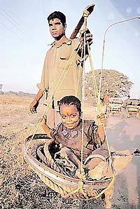 pix by Pankaj Sharma 