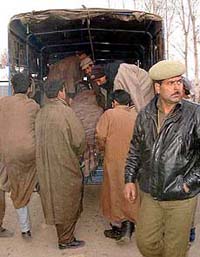 Hizbul Mujahideen's company commander