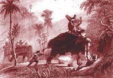 Sariska was the favourite hunting ground of the royalty in the Rajput & the British reigns.