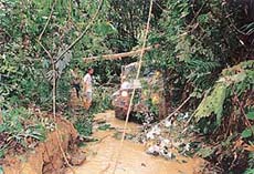 Competitors not only had to cross a swampy area but also had to clear bamboo bushes in the way 
