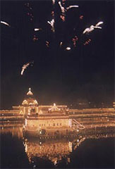 A firework display at the Golden Temple