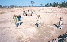Residents of Dhandardu village carrying out pond-digging work at the village under the food-for-work scheme in the Barwala block.