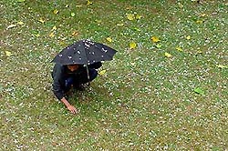 Touch that melts: Hails spread a white carpet in Chandigarh on Friday.