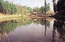 Tani Jubbar Lake, near Kotgarh.