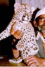 A villager holds a leopard cub