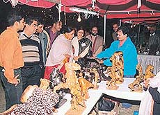 Jaya Jaitley was one of the many politicians who visited the five-day fair