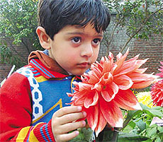 A child at the 55th Annual Delhi Flower Show, organised by the YWCA in the Capital on Sunday.