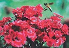 Spring 2002