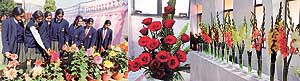 Some entires at the annual flower show-cum-competition on the Punjab Agricultural University campus in Ludhiana on Monday.