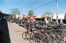 A Ludhiana road.