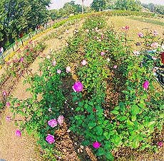 Springtime festivities in India are not restricted to just one occasion