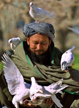 Kadyr Mukhammad-Nabi