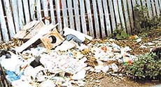 The concept of cleanliness seems to be foreign to Karkardooma.