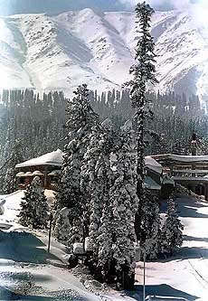 A view of snow-covered Gulmarg