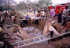 Fire brigade personnel search the bodies