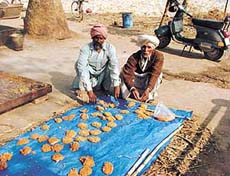 Molten jaggery is cooled before it is shaped into small cakes