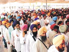 Serpentine queues of farmers at seed vends of Kisan Mela on the Punjab Agricultural University campus, Ludhiana, on Thursday.