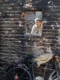 A resident looks through the window 