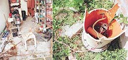 An experimental reaction chamber blasted at Naya Gaon