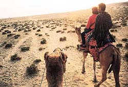 On a camel safari near Sam