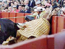 Spanish picador Manuel Montez and his horse are knocked down by a bull during bullfight in the Maestranza bull-ring in Seville on Tuesday. 