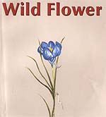 Wild Flower