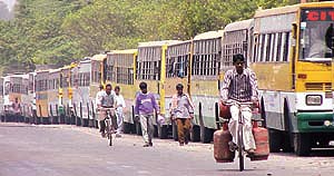 A long queue of buses